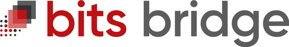 bits bridge — software & AI delivery partner